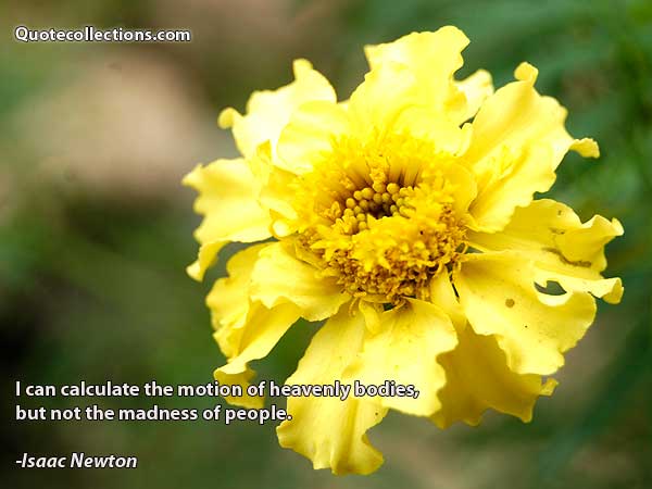 Isaac Newton Quotes2